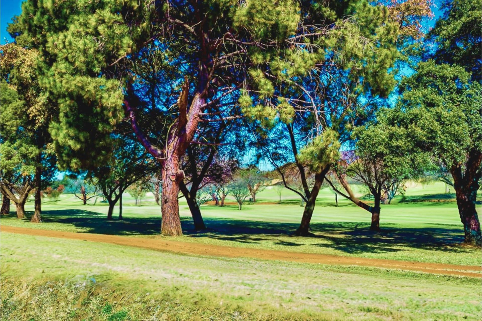 Glendower View Guest House Edenvale Exteriér fotografie